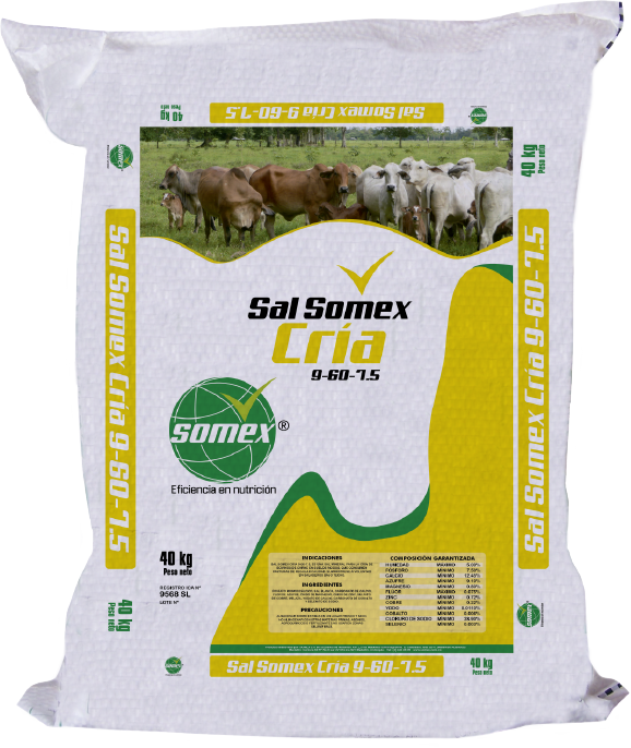 bulto 40 kg sal mineralizada somex