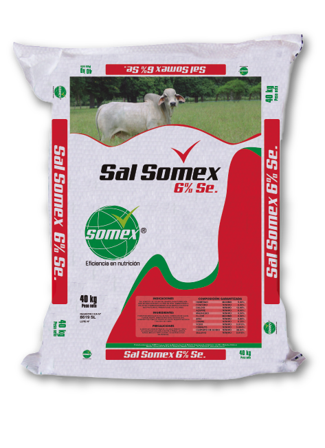 sal mineralizada somex 6 se bultos 40
