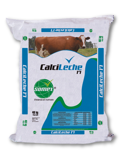 sal mineralizada somex calcileche 17